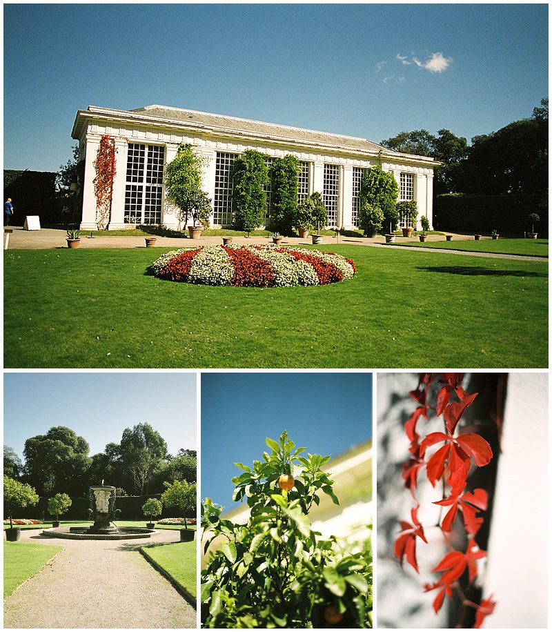 Mount Edgecumbe orangery